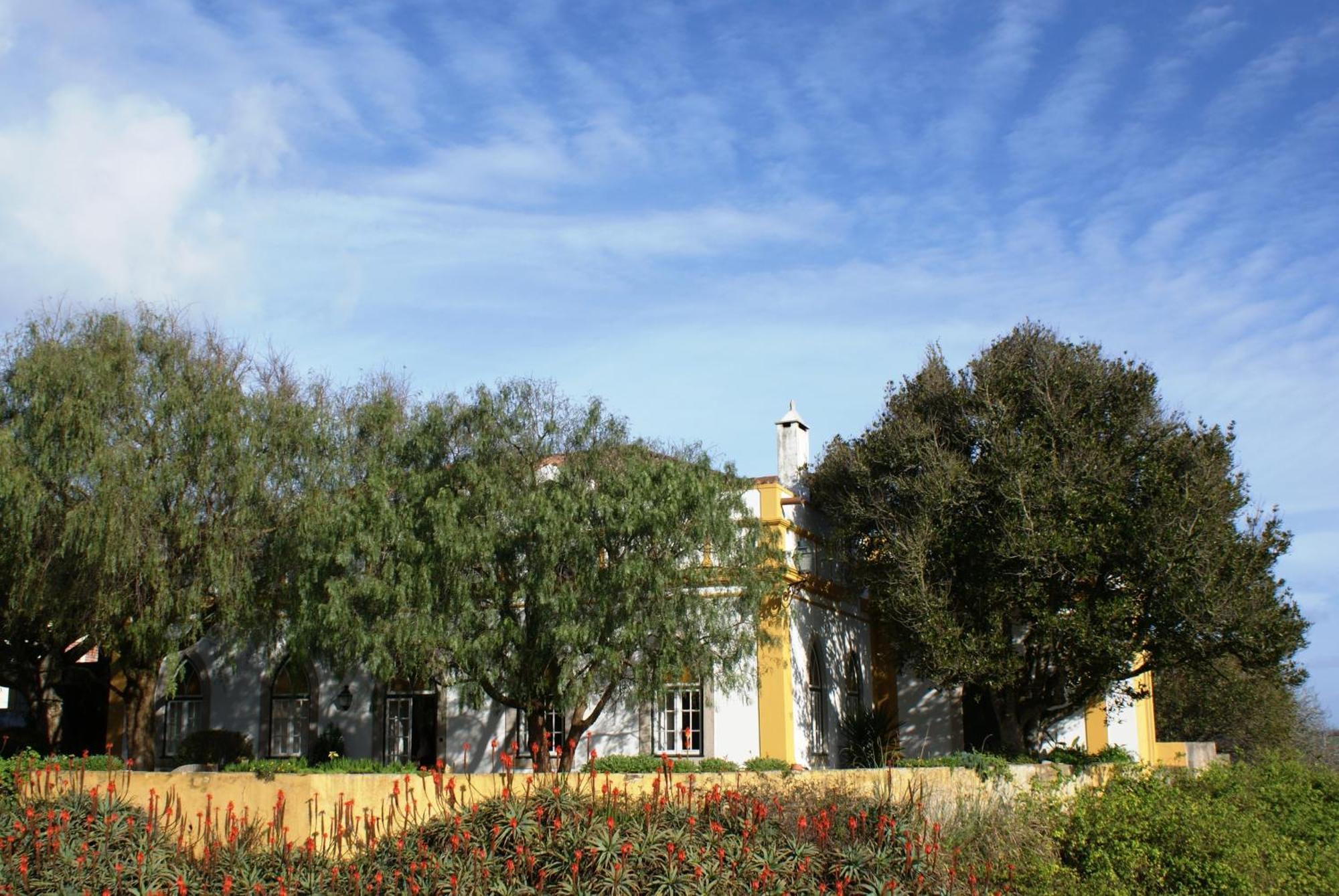 Casa Do Castelo - Turismo De Habitacao Bed & Breakfast Atouguia Da Baleia Exterior foto