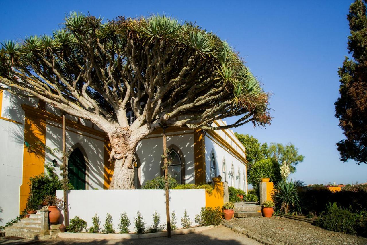 Casa Do Castelo - Turismo De Habitacao Bed & Breakfast Atouguia Da Baleia Exterior foto